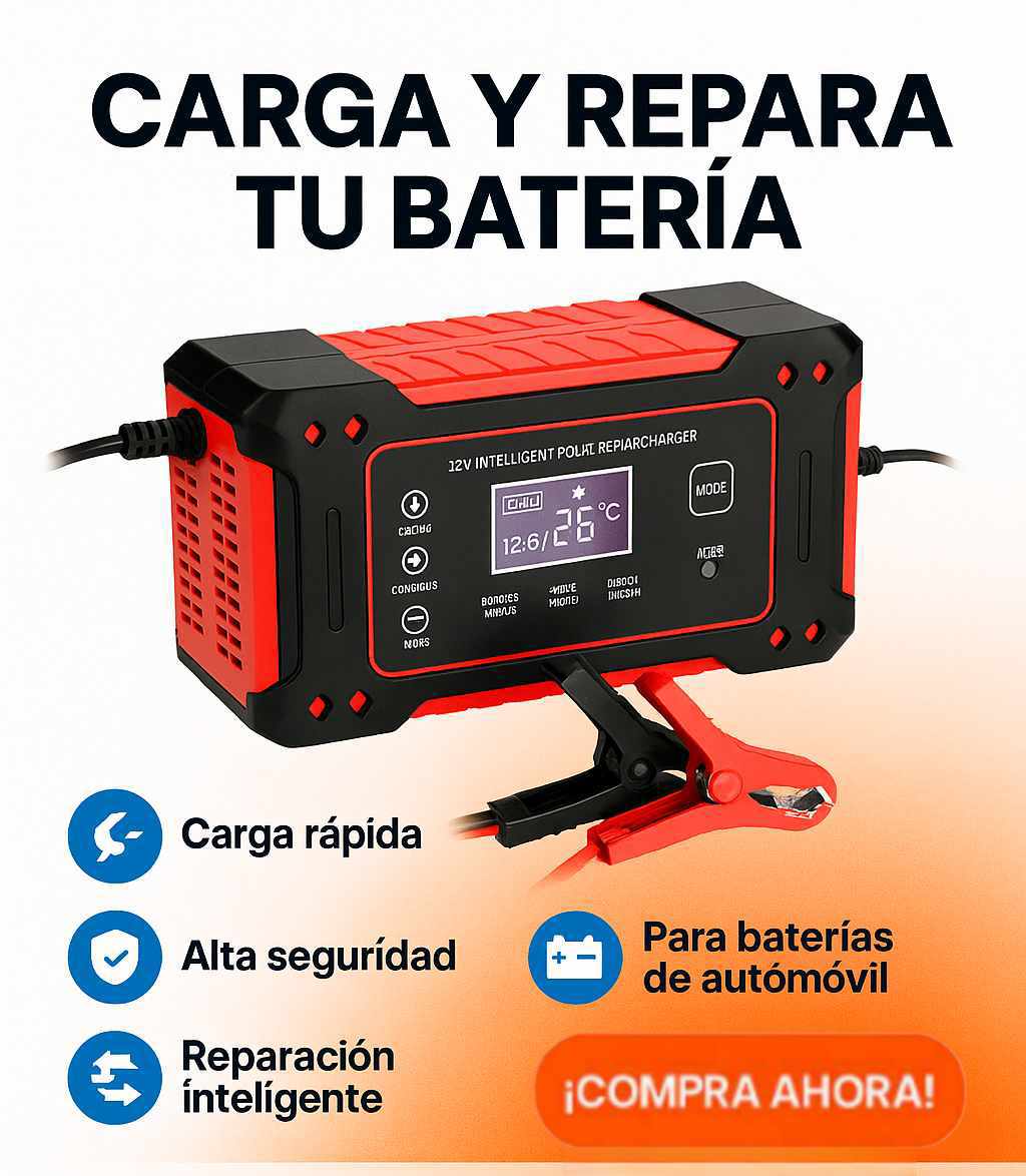 Cargador de batería para carro