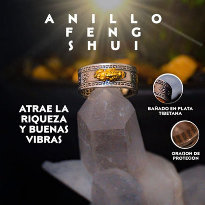 Anillo - Pixiu Feng Shui